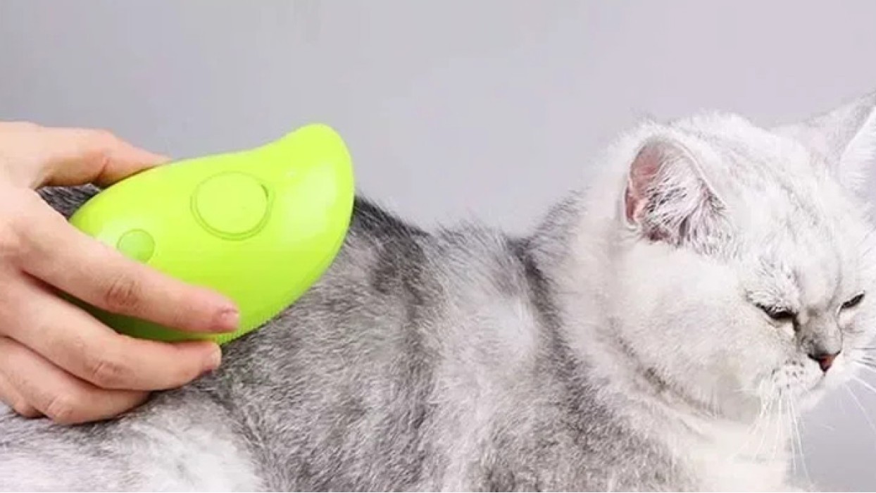 Brosse à vapeur pour chat 3 en 1